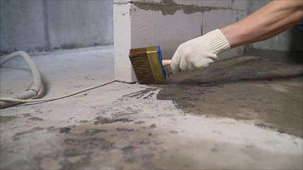 24/7 Emergency Wet Basement Repair experts in Center Line, MI